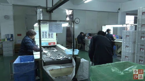 金楊科技春節(jié)不打烊，增資擴產(chǎn)技術(shù)服務(wù)忙