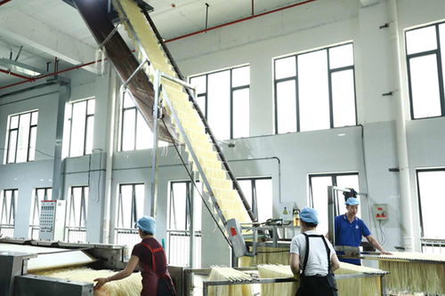 柳江區(qū) 精準創(chuàng)新雙輪驅(qū)動，食藥產(chǎn)業(yè)強音奏響技術(shù)服務(wù)新篇章